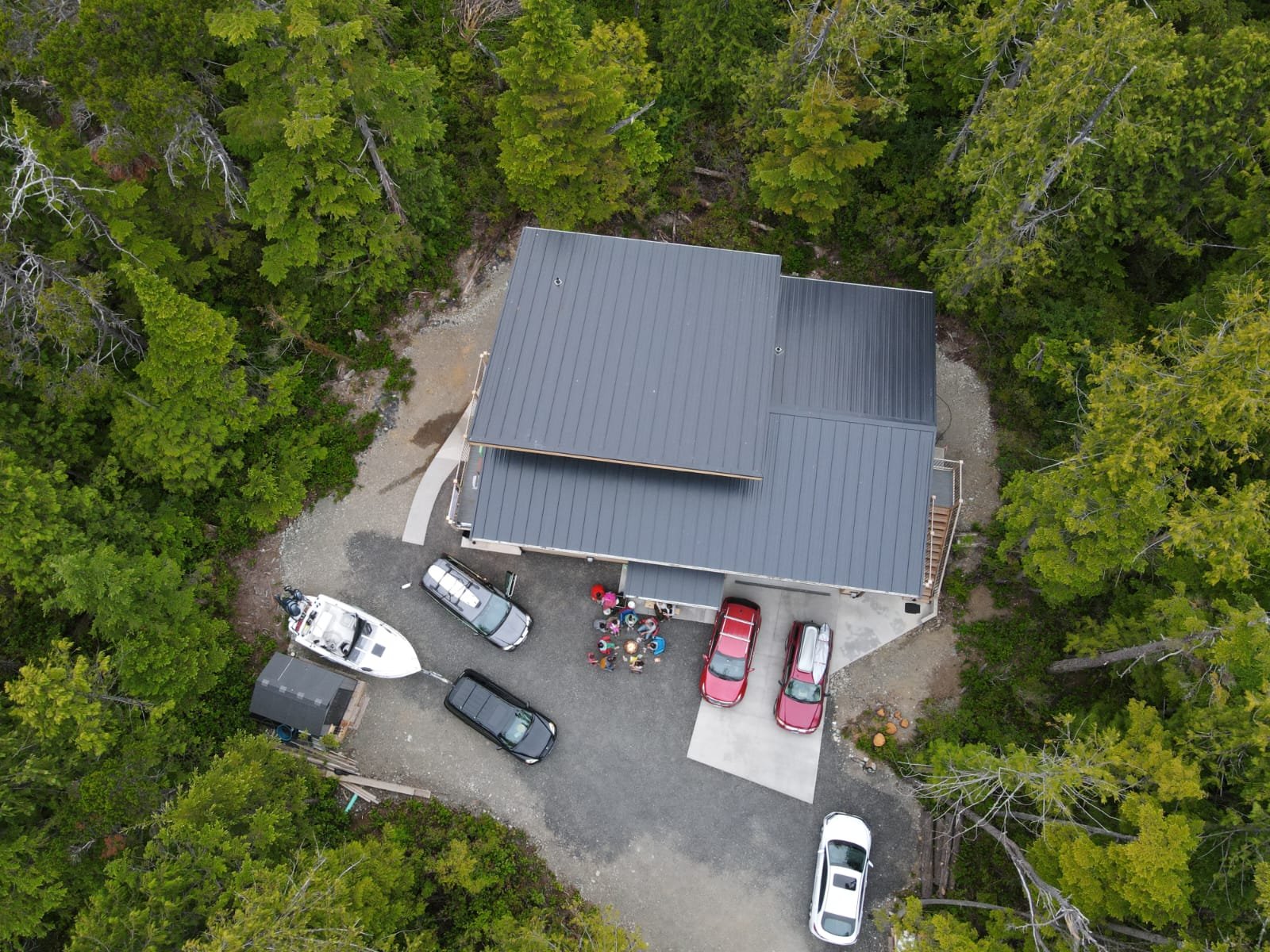 Forest Canopy & Grounds Overview